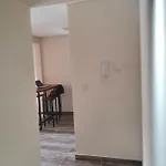 Mono Villegas 1